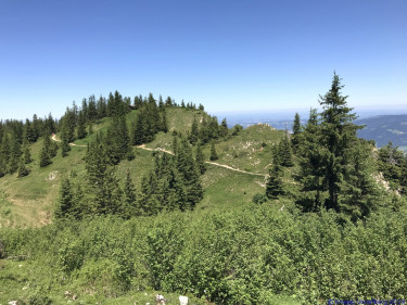 KAC Gaissau Kräuterwanderung 2019 06 29 12 43 13  3421